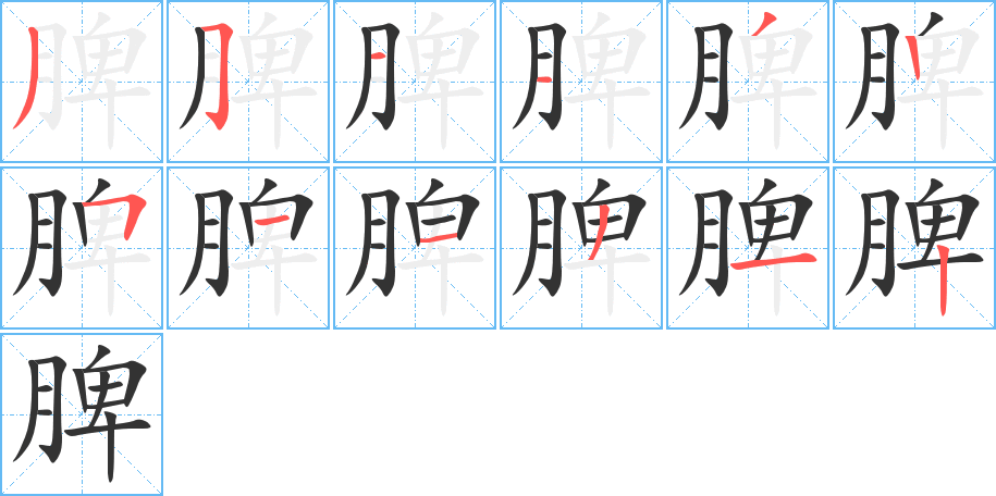 脾的筆順筆畫