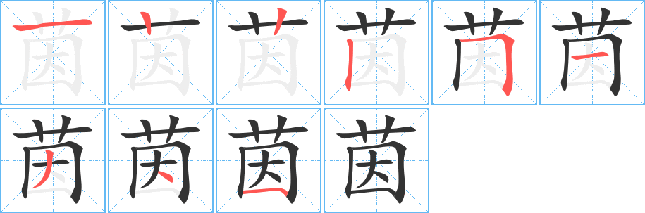 茵的筆順筆畫