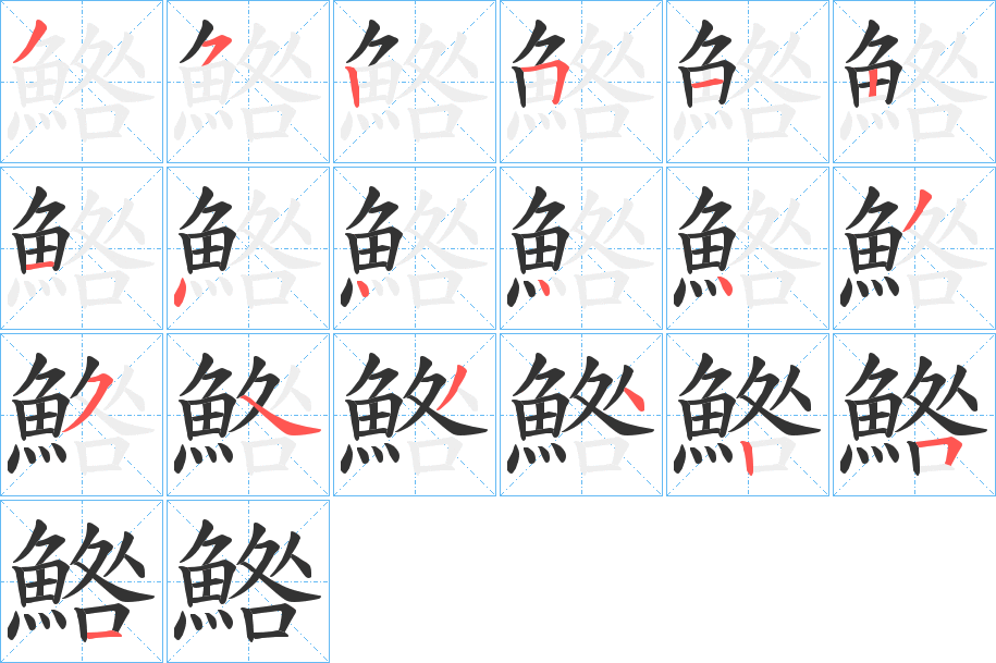 鯦的筆順筆畫